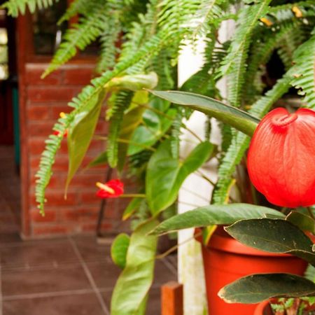 El Pedron Hotel Banos  Ngoại thất bức ảnh