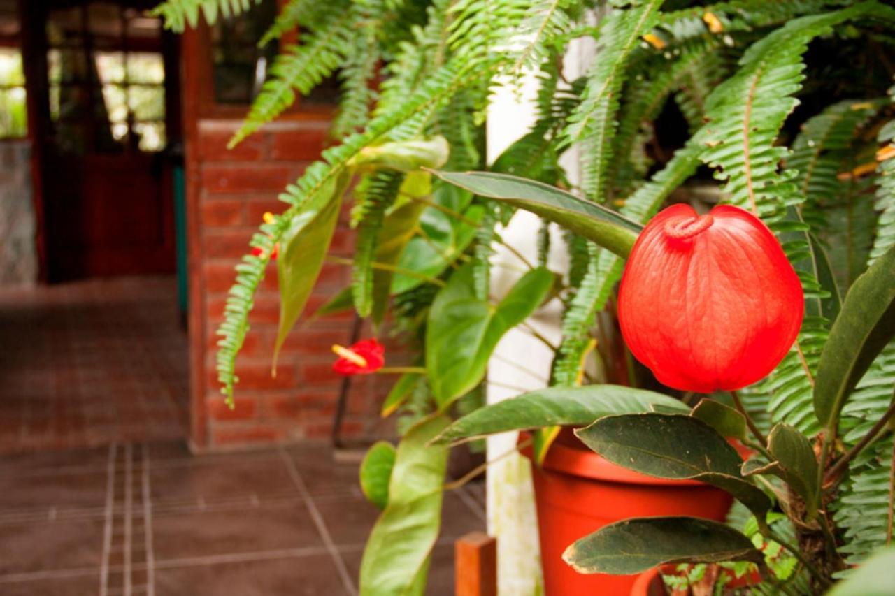 El Pedron Hotel Banos  Ngoại thất bức ảnh